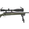 M109.jpg