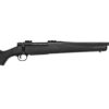 M14.jpg
