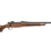 M96.jpg