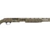 S135.jpg